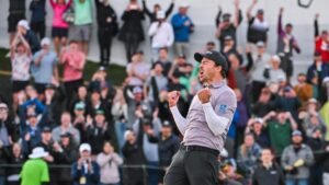 Canada’s Nick Taylor wins Phoenix Open on second playoff hole