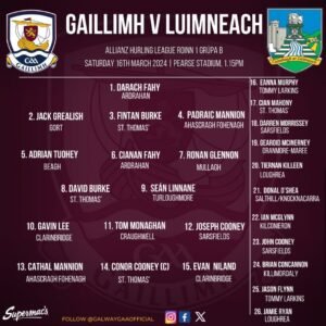 Hurling - Galway v Limerick