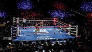 Close Encounters: What is it like to be ringside on fight night?